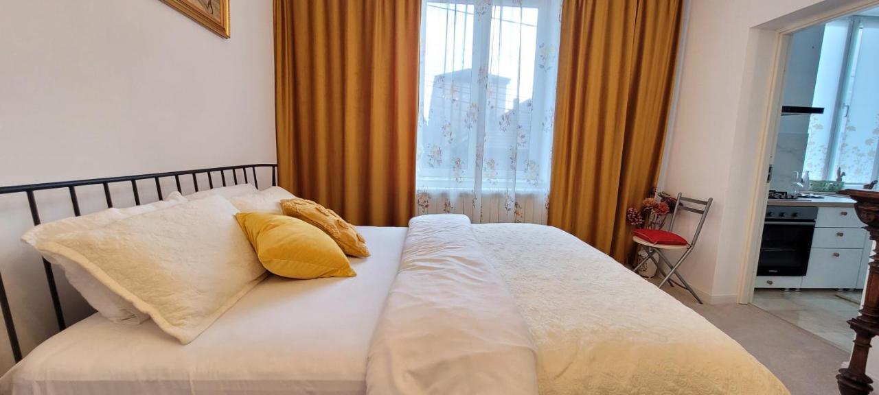 Appartement Garsoniera C&L à Petroşani Extérieur photo