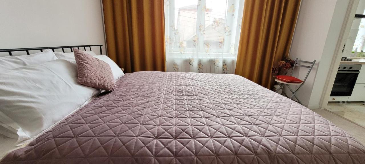 Appartement Garsoniera C&L à Petroşani Extérieur photo
